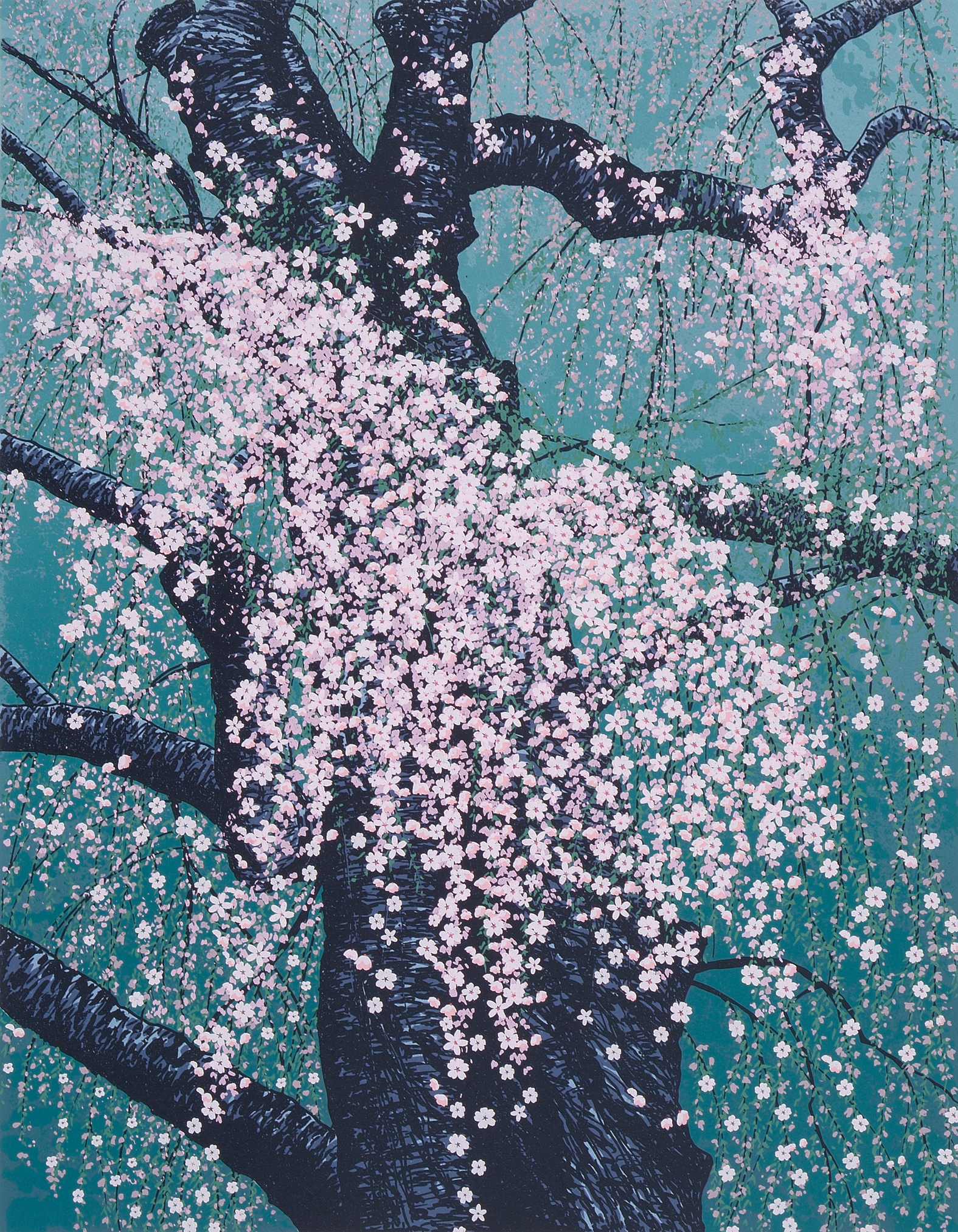 春彩 枝垂桜 - 版画家 小暮真望