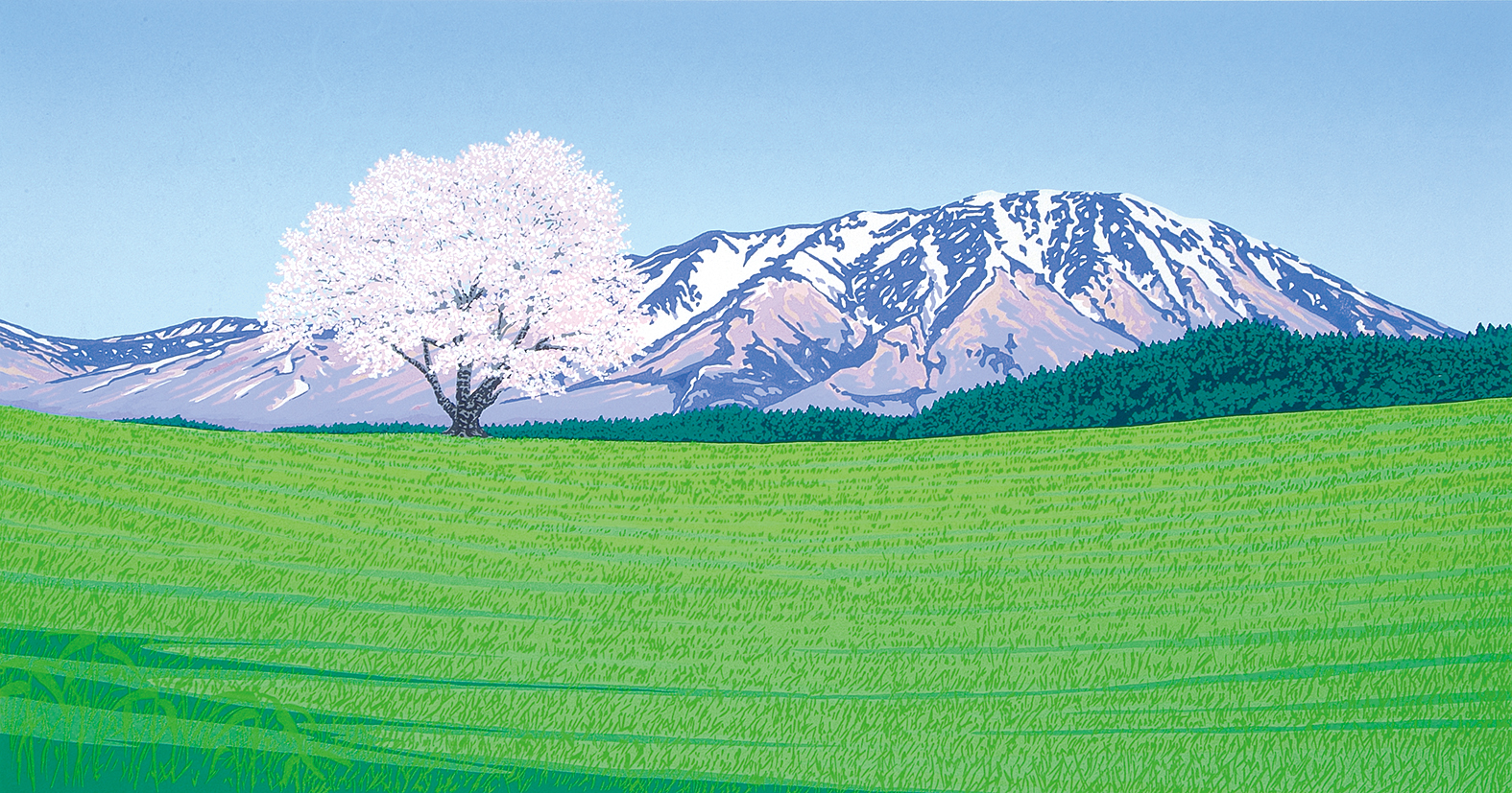 一本桜 岩手山 - 版画家 小暮真望