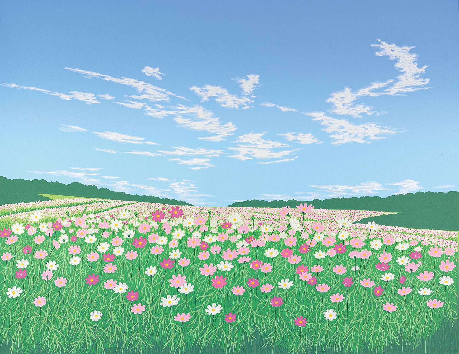 秋桜の丘 - 版画家 小暮真望