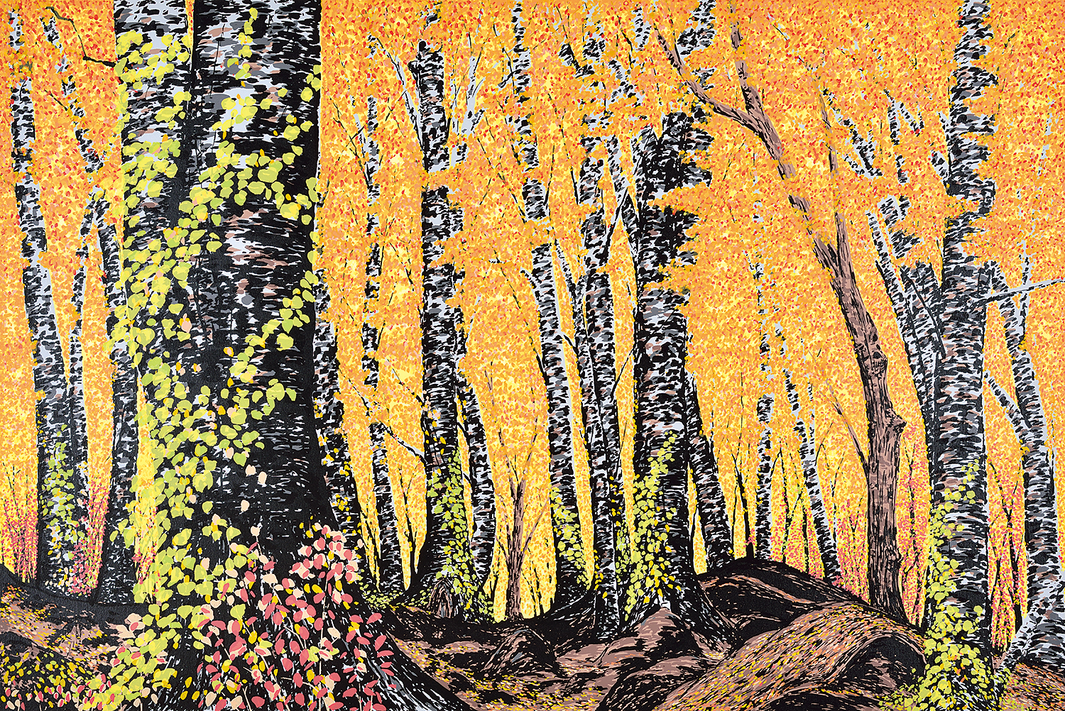 ブナ林の黄葉（白神山地） - 版画家 小暮真望