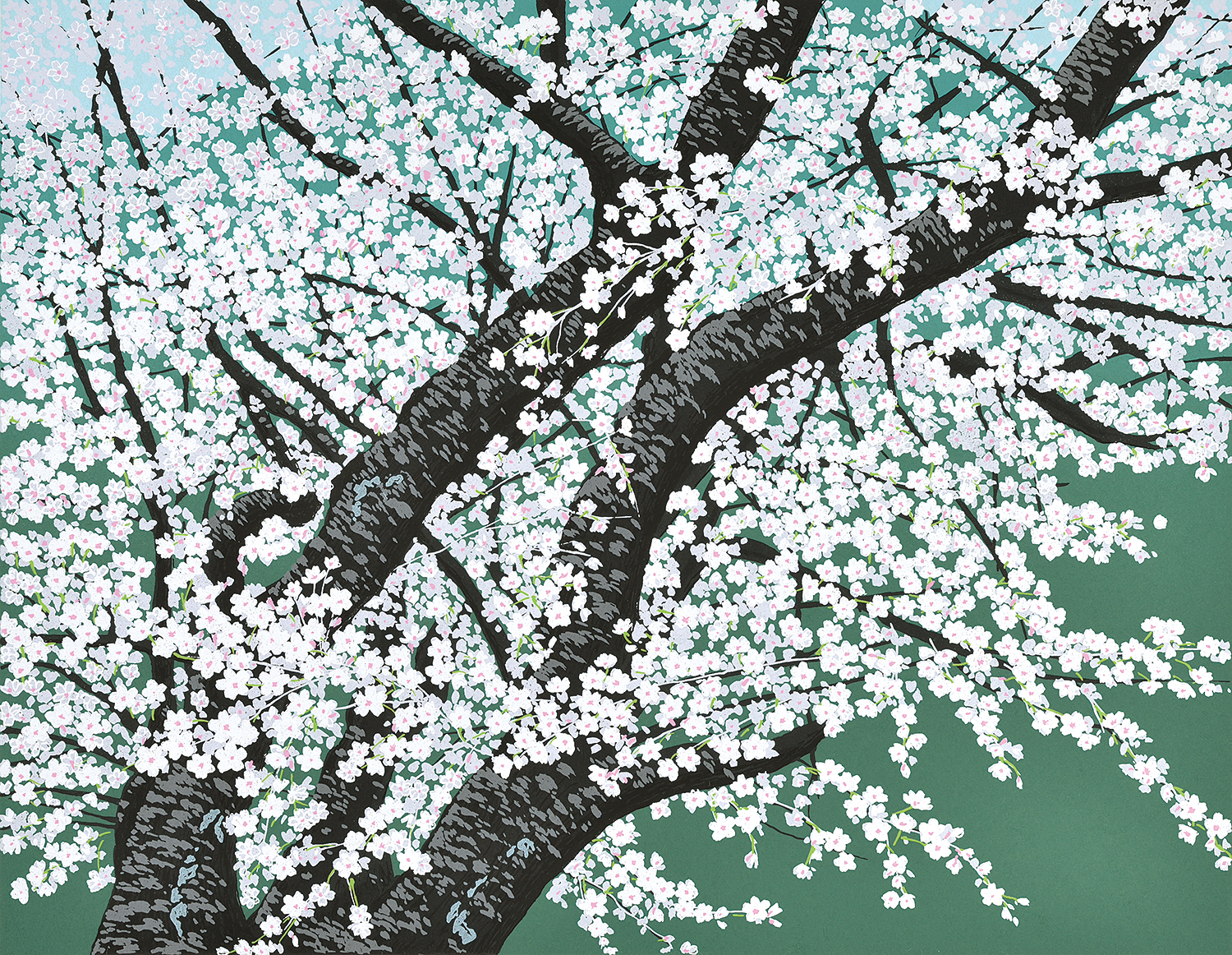 淡桜 - 版画家 小暮真望