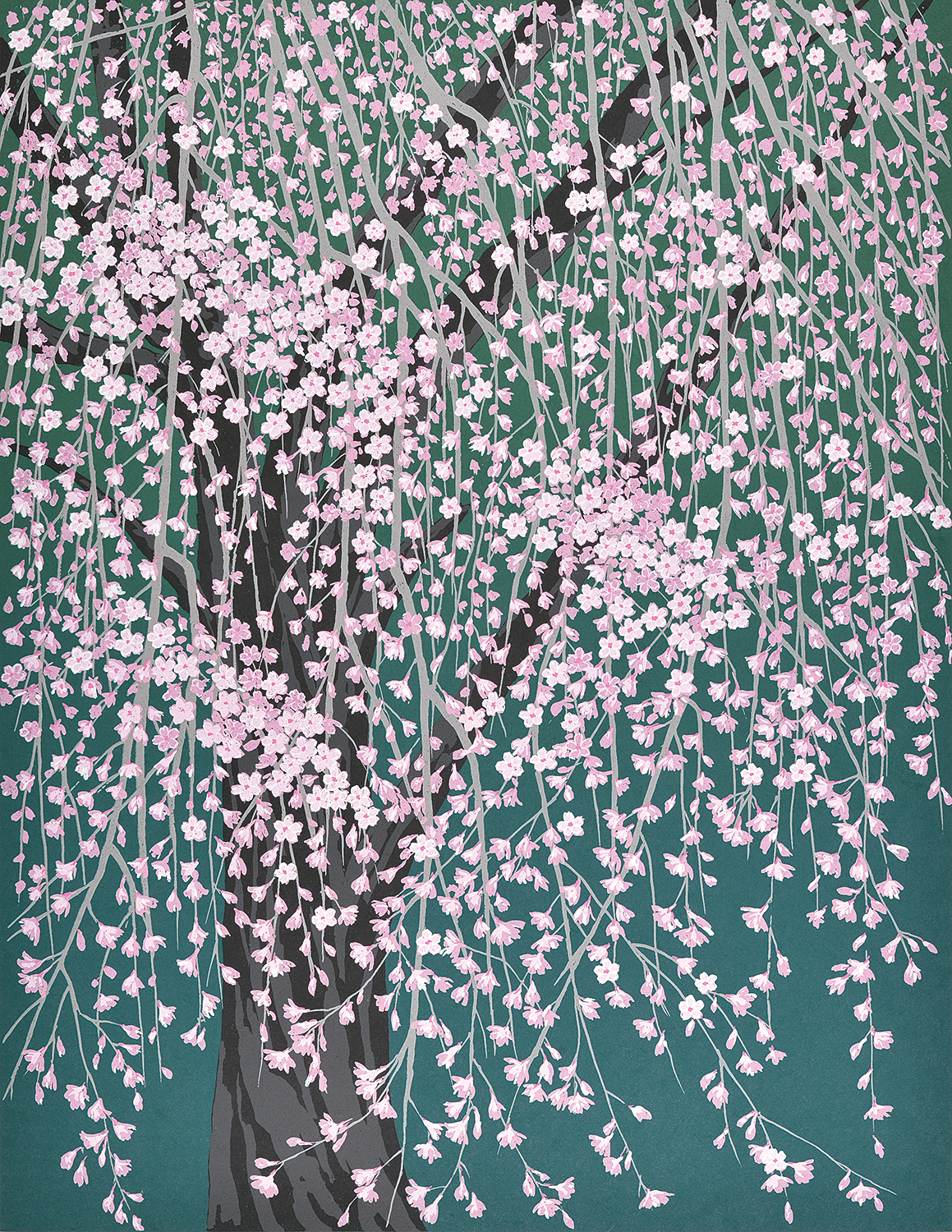 白・黒系 アーカイブ - 版画家 小暮真望